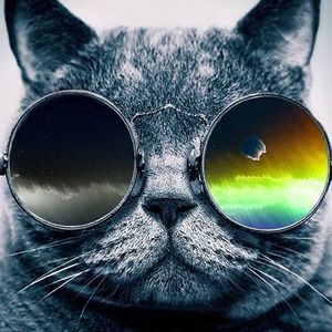 Meet your Posher, Derek